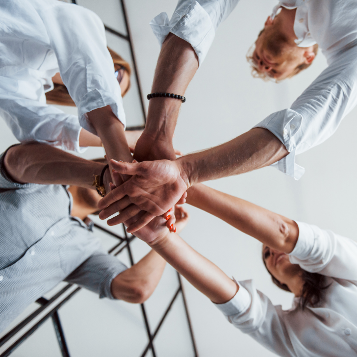 Foto-Team-Link-Advisors