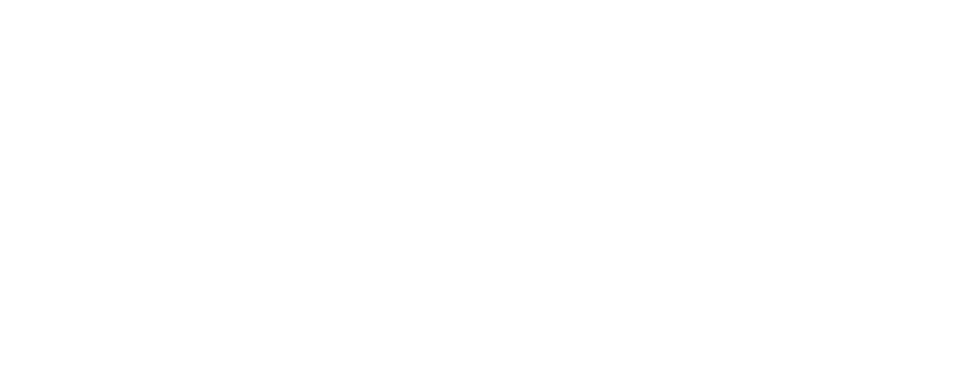 Logo-Bianco-Link